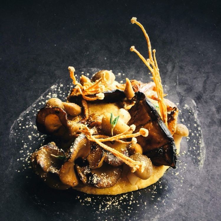 Plato de setas sobre fondo negro